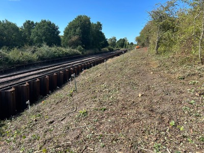 Lineside Clearance