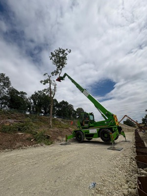 Arborist Work