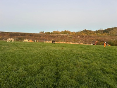Site Works